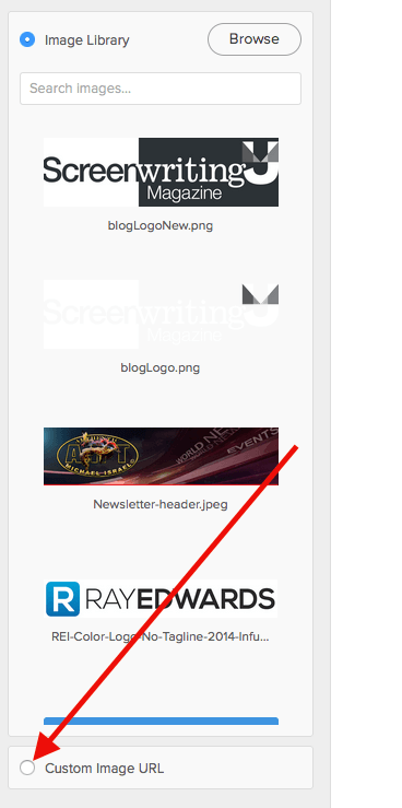 Then you'll need to switch the radio button to Custom Image URL.
