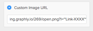 Return to the email builder and paste it into the source field. We’re almost done. Remember that automation link id? We’ll replace the 4 x’s with our Id.