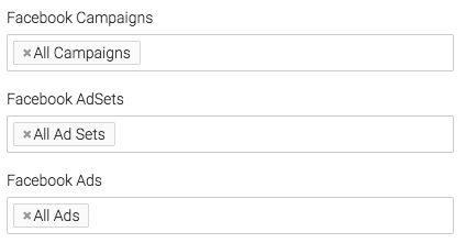 Set specific Facebook Campaigns, AdSets, and Ads to look at in the data